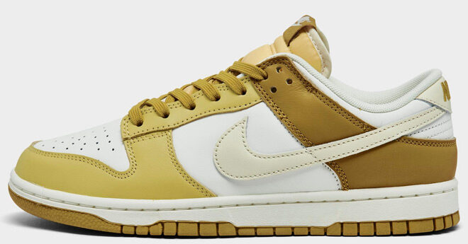 Nike Dunk Low Retro Casual Shoe