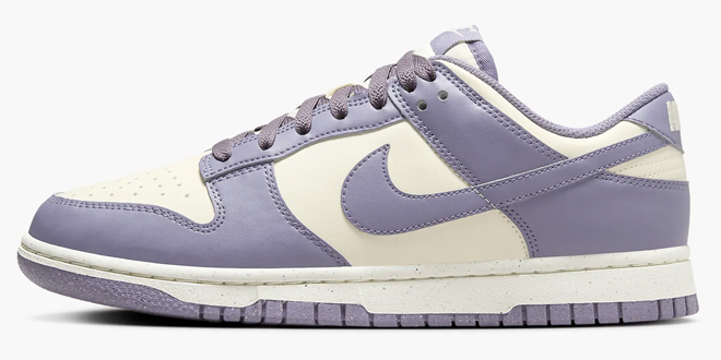 Nike Dunk Low Womens Shoe