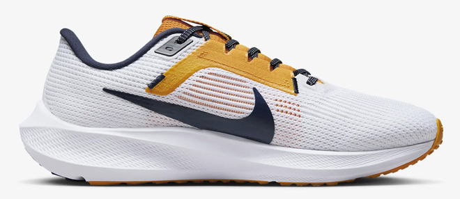 Nike Pegasus 40 Mens Running Shoes West Virginia