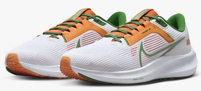 Nike Pegasus 40 NFL Mens Running Shoes FAMU