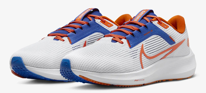 Nike Pegasus 40 NFL Mens Running Shoes Florida