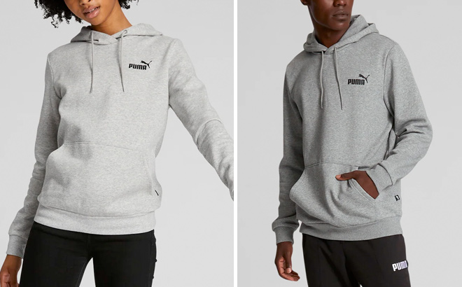 PUMA Mens Essentials Small Logo Hoodie