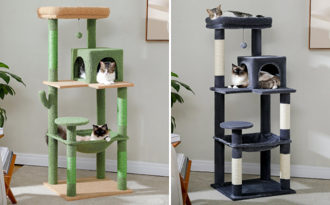 Pawz Road Cat Tree