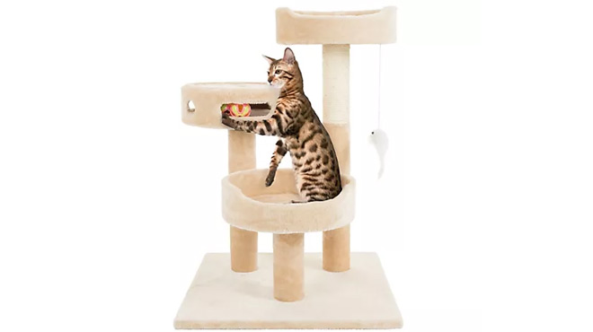 Petsmart 3 Tier 27 5 Cat Tree