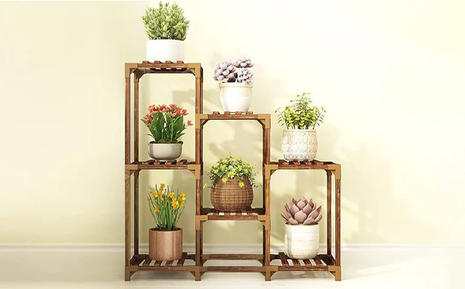 Phancir Plant Stand