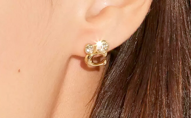 Signature Crystal Cluster Stud Earrings
