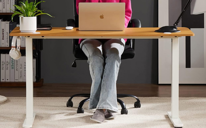 Smug Standing Desk in Natural Color