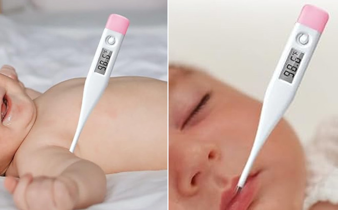 Snomd Digital Oral Thermometer