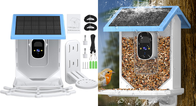 Solar Powered Smart Bird Feeder with a Camera