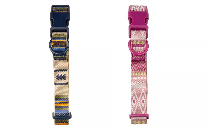 Sonoma Goods For Life Patterned Pet Collar