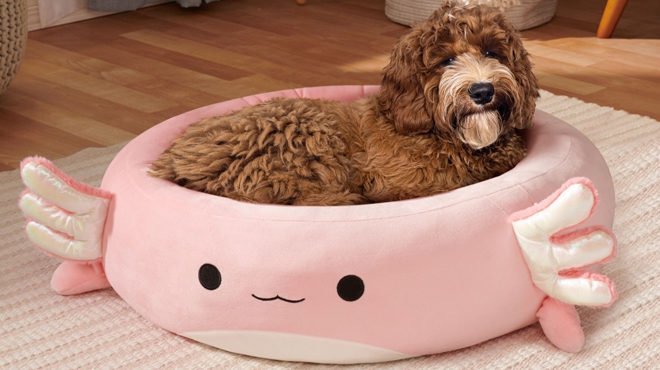 Squishmallows Archie The Axolotl Pet Bed