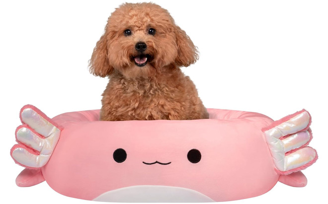 Squishmallows Original 20 Inch Archie the Axolotl Pet Bed