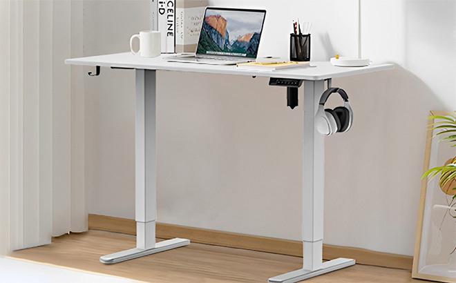 Sweetcrispy Electric Standing Desk in White Colot