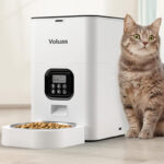 Timed Pet Feeder for Cats and Dogs with Dry Food Dispenser