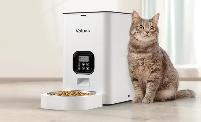 Timed Pet Feeder for Cats and Dogs with Dry Food Dispenser