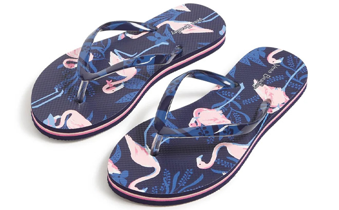 Vera Bradley Flamingo Party Flip Flops