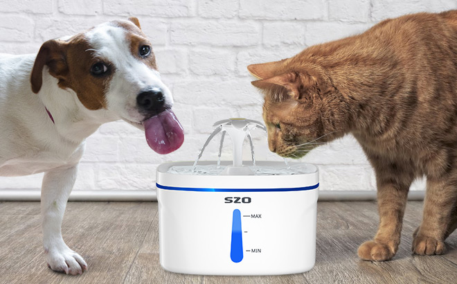 Water Fountain for Pets