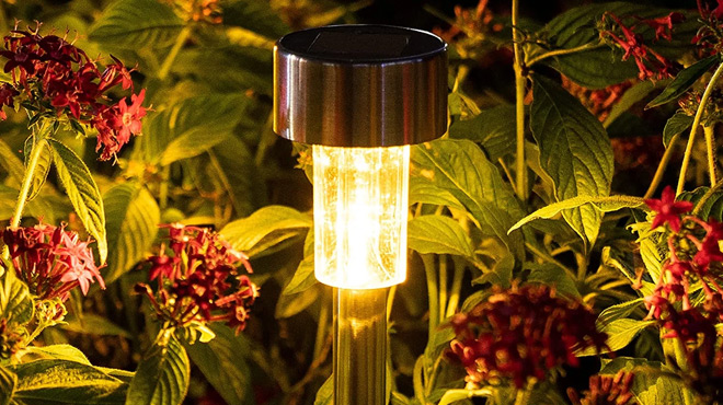 Whatook 12 Pack Solar Garden Lights