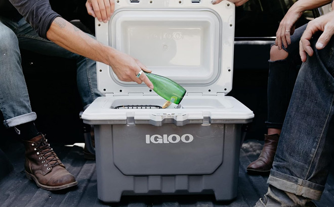 a Perosn Taking a Bottle from Igloo Hard Cooler