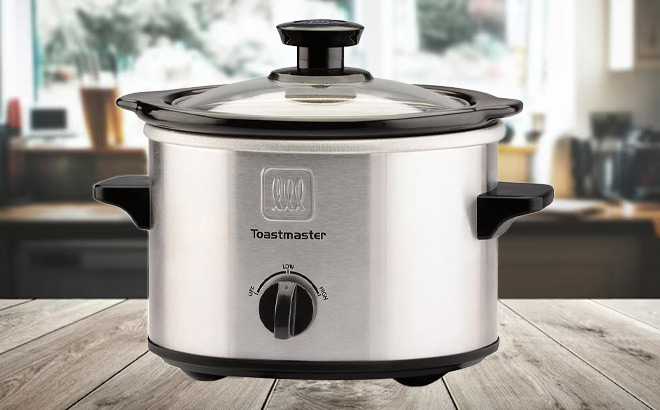 oastmaster Stainless Steel Slow Cooker