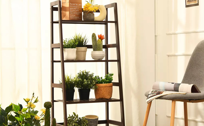 4 Tier Ladder Shelf