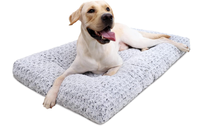 A Dog Laying on a Ksiia Medium Washable Dog Bed