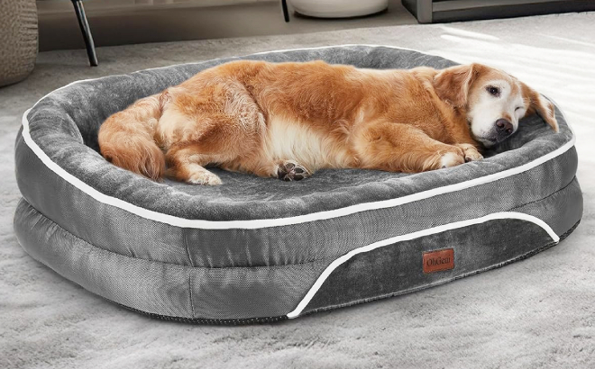 A Dog Laying on a Large Orthopedic Dog Bed