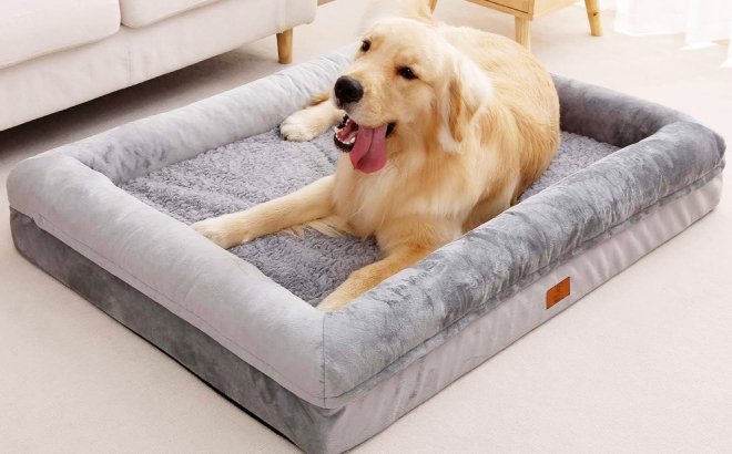 A Dog Laying on an XL Orthopedic Washable Dog Bed