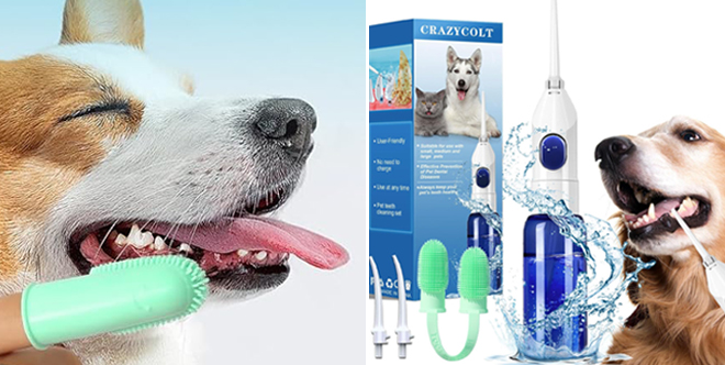 A Dog having his Teeth cleaned with CrazyColt Pet Cleaning Set Toothbrush