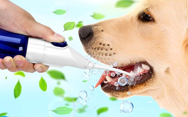 A Dog having his Teeth cleaned with CrazyColt Pet Teeth Cleaning Set 