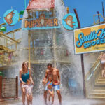 A Family Having Fun at the Californias Great America Park