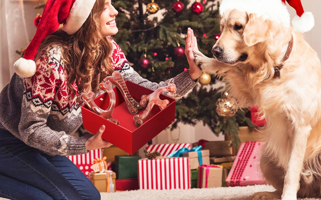 A Person Giving Dog Chew Toys to a Dog