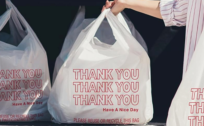 A Person Holding Thank You Plastic Bags