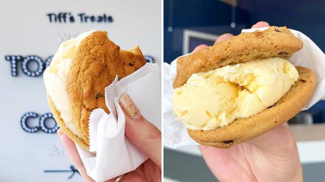 A Person Holding Tiffs Treats Ice Cream Sandwich