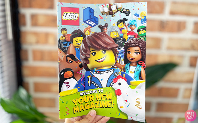 A Person Holding a LEGO Magazine 1