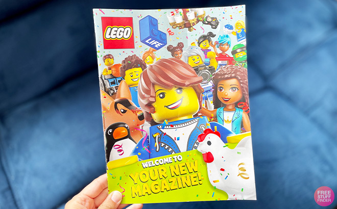 A Person Holding a Lego Magazine