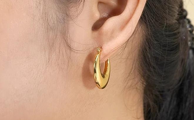 A Person Wearing JeenMata Womens Earrings from 6 Pair Gift Set