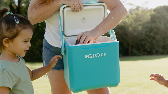 A Person carrying Igloo 11 Quart Tag a long Hard Side Cooler