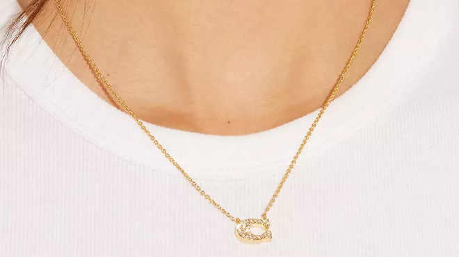 A Woman Wearing Coach Outlet Pave Signature Necklace