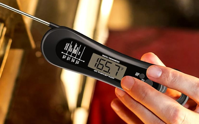 A hand holding Biison Digital Meat Thermometer