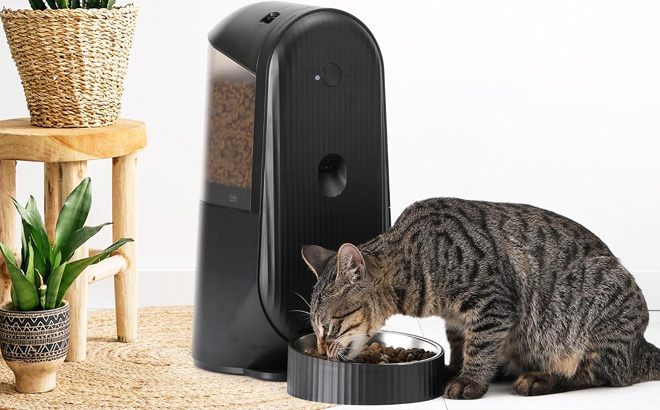 Automatic Cat Feeder