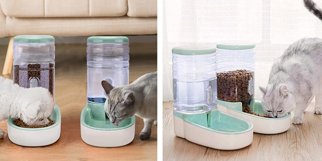 Automatic Dog Cat Feeder and Water Dispenser