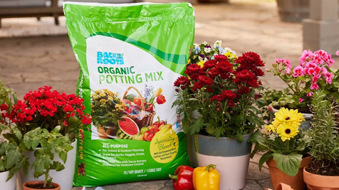 Back to the Roots Organic Potting Mix