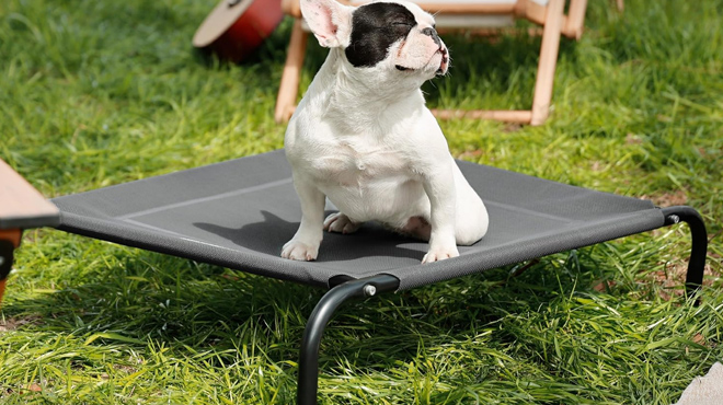 Bedsure Medium Elevated Cooling Outdoor Dog Bed 2