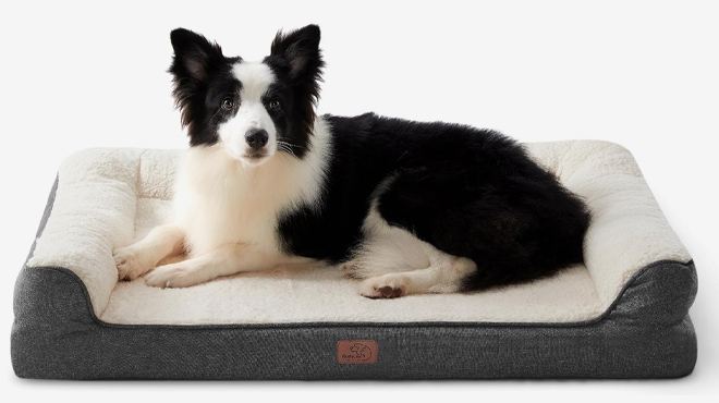 Bedsure Memory Foam Dog Bed