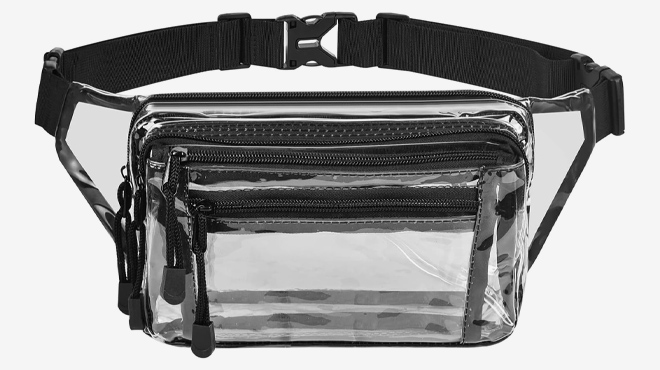 Clear Fanny Pack 