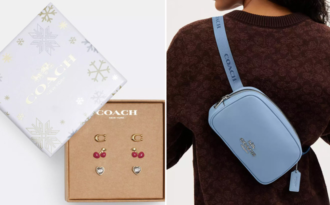 Coach Outlet Signature Cherry Heart Earrings Set