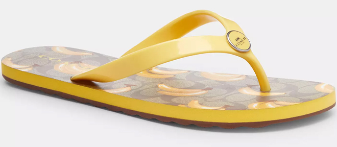 Coach Outlet Zayn Flip Flops With Fruit Print