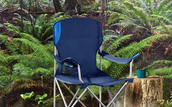 Embark Portable Chair