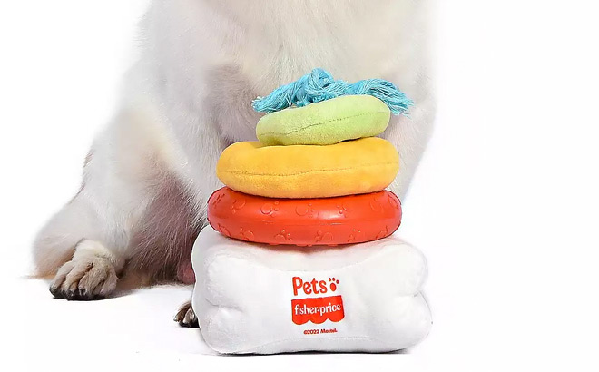 Fisher Price Dog Toy